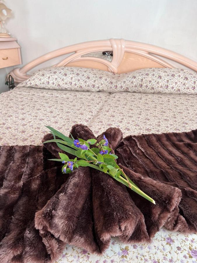 Sun-Soaked Apt W Patio, Balcony & Garden - Aguilas La Orotava Esterno foto