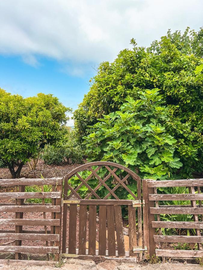 Sun-Soaked Apt W Patio, Balcony & Garden - Aguilas La Orotava Esterno foto