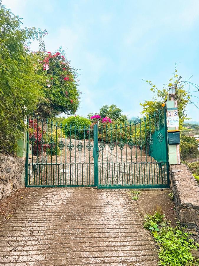 Sun-Soaked Apt W Patio, Balcony & Garden - Aguilas La Orotava Esterno foto